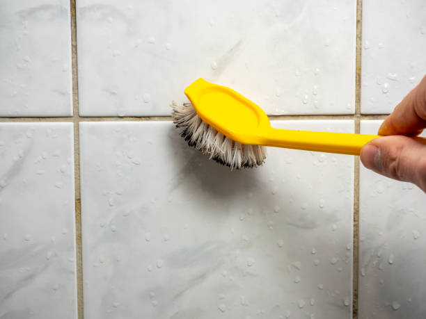 Best Certified Mold Removal  in Birmingham, AL