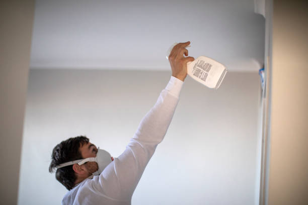 Home Mold Removal in Birmingham, AL