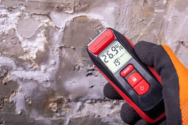 Professional Mold Removal in Birmingham, AL