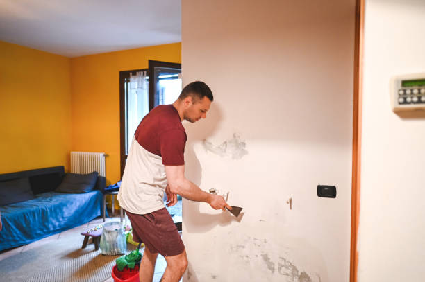 Best Mold Damage Repair  in Birmingham, AL